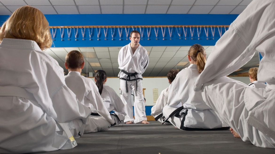 ¿Cuáles son las mejores artes marciales?